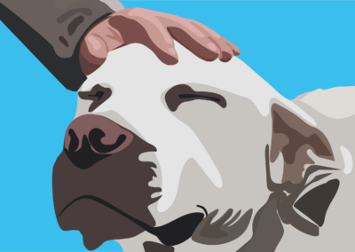 Human-Animal Interactions