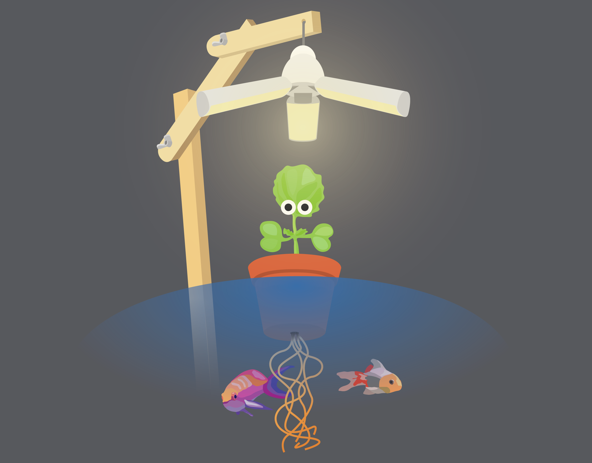 AutoCrops Artwork Square games_image