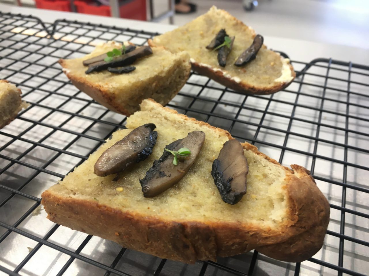 FoodLab Costa Mushrooms Whittlesea Tech School